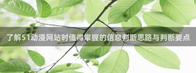 漫蛙下:了解51动漫网站时值得掌握的信息判断思路与判断要点配图